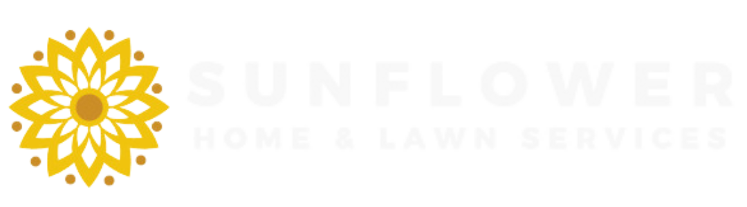 sun-flower-Maryland-Virginia-Washington